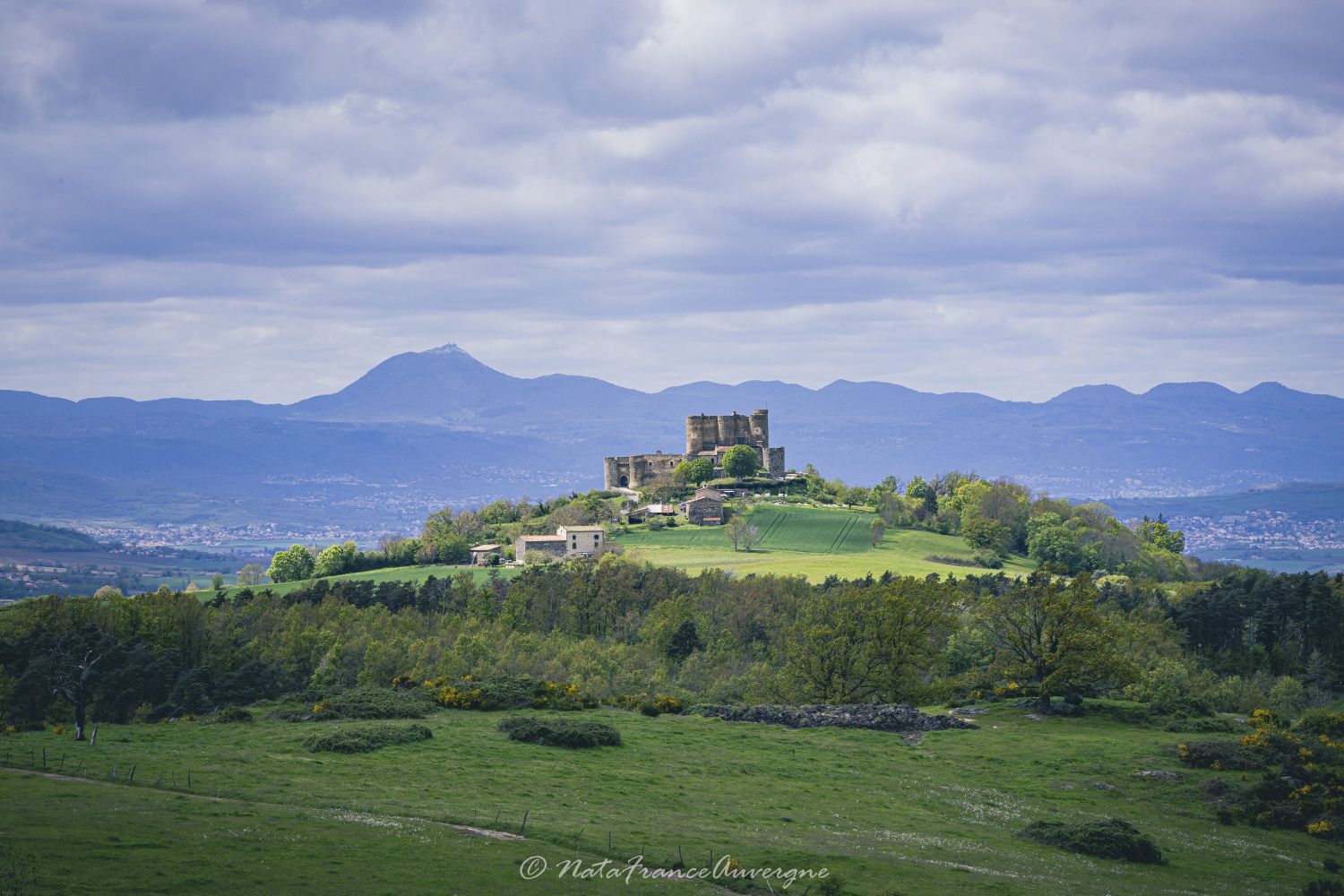 Vallée du Madet avril 2024 by @NataFranceAuvergne-4333